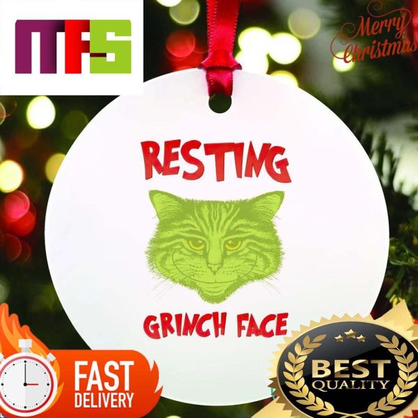 Cat Resting Grinch Face Unique Custom Christmas Tree Decorations 2023