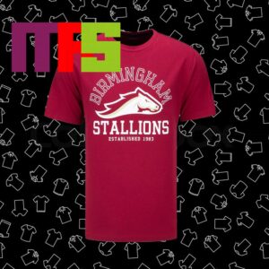 Birmingham Stallions Established 1983 MSX Logo UFL Essential T-Shirt Birmingham Stallions Established 1983 MSX Logo UFL Essential T-Shirt